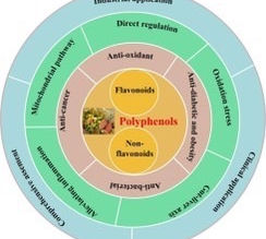 Plant polyphenols as natural bioactives for alleviating lipid metabolism disorder: Mechanisms and application challenges