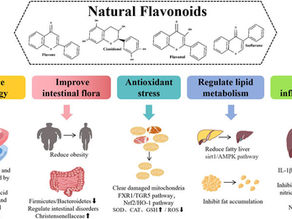 List of flavonoids identified in our products