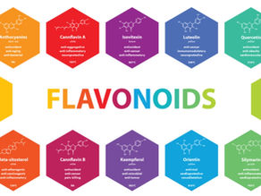 Polyphenol supplementation boosts aerobic endurance in athletes: systematic review