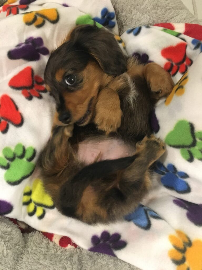 billie bean