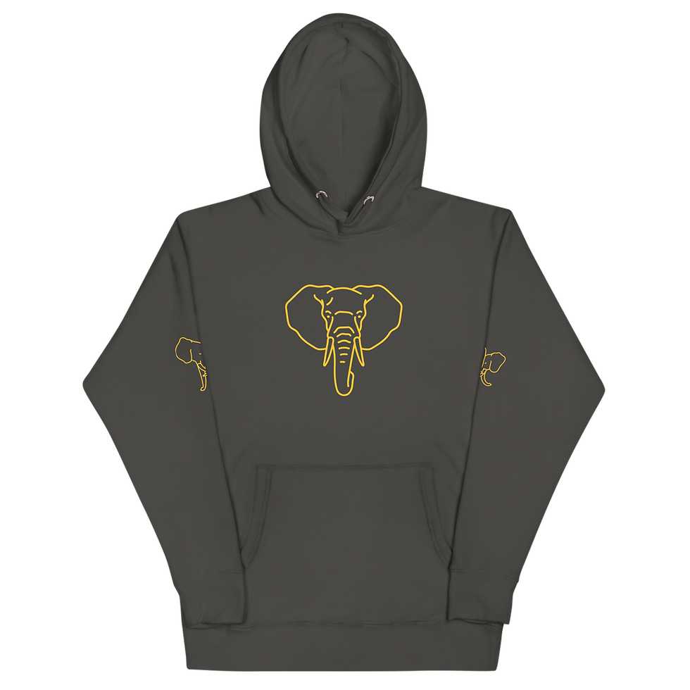 Thumbnail: UNISEX SAFARI MASTERS HOODIE