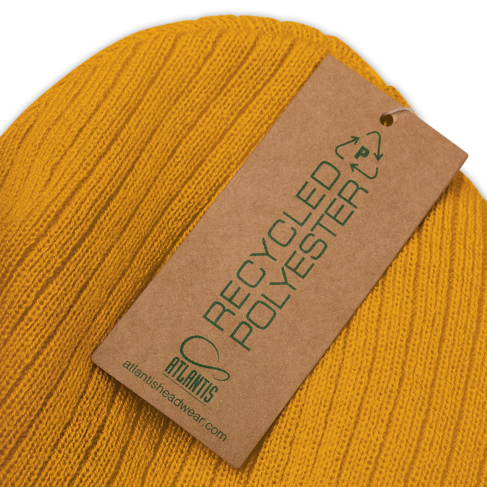 Thumbnail: GOK RIBBED KINT BEANIE