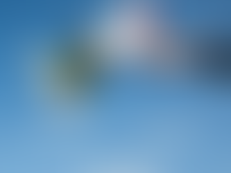 日曜日お得です!