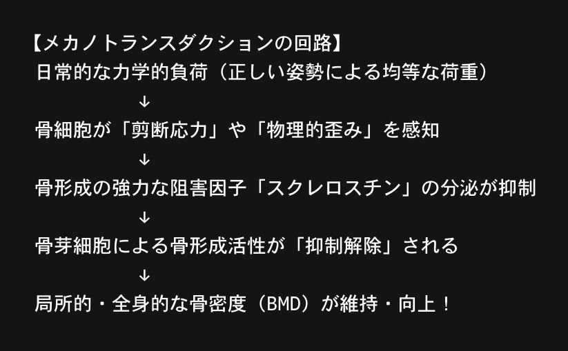 【骨粗鬆症の新常識】骨密度を保つ鍵は「姿勢」にあり！バイオメカニクス的機序と臨床エビデンスから紐解く、骨折を防ぐアライメントの秘密