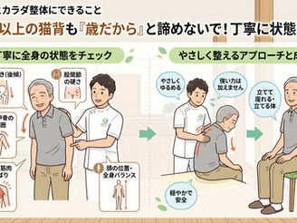 【「もう歳だから」とあきらめないで —— 65歳からでも、猫背は変えられます】