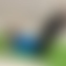 これできる？