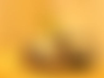 当施設1のご褒美メニュー!