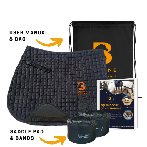 All Purpose Equine Band System Equine Balance Bands