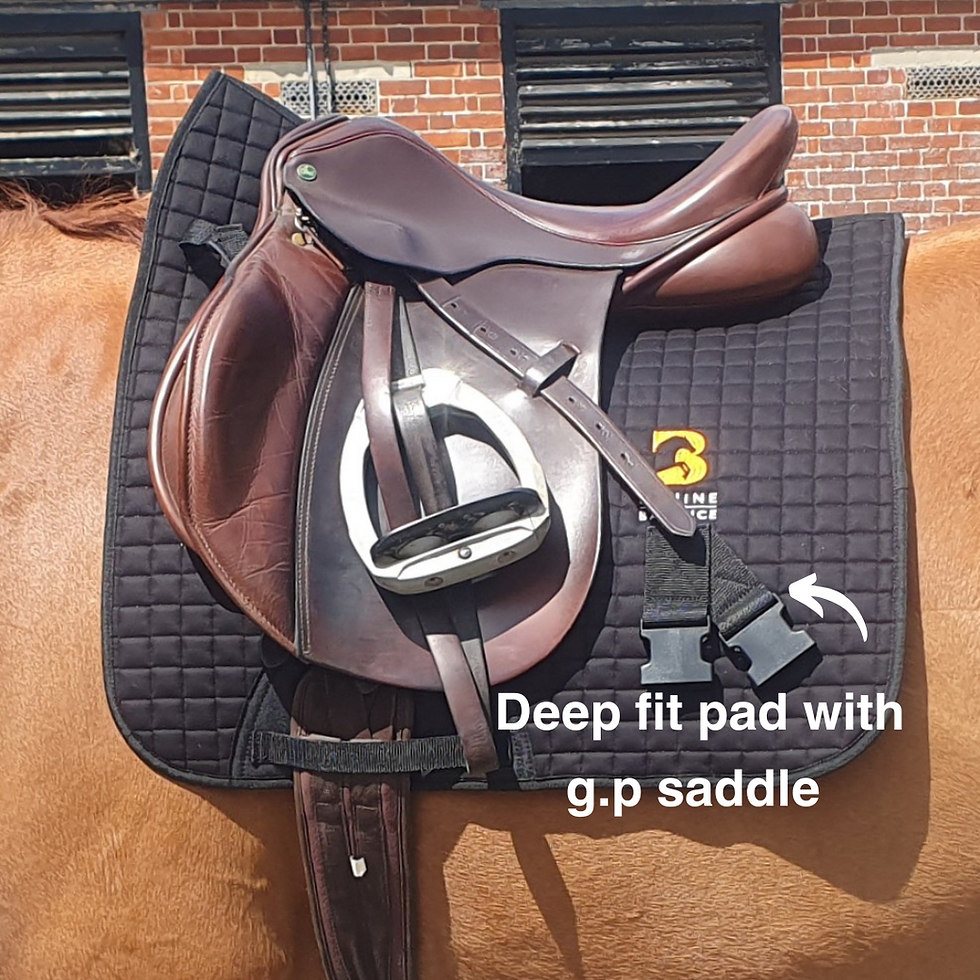 Thumbnail: how to fit equine balance bands equiband alternative with saddle and roller