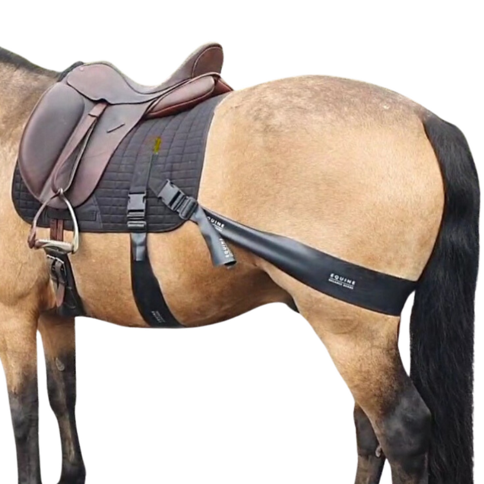Thumbnail: make your own equiband with Equine Balance Bands DIY equiband  system