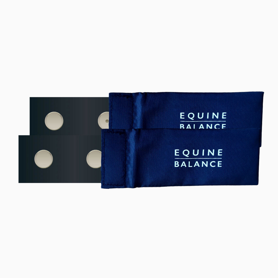 magnetic boots for horses replacement magnets Equine Balance neodymium magnets for horse boots equilibrium magnetic chaps