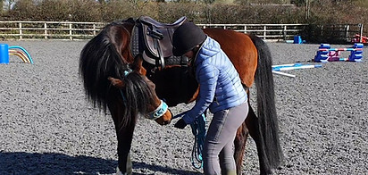 carrot stretches hor horses