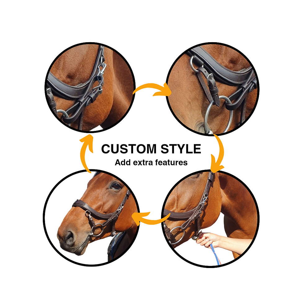 Thumbnail: Training Bridle / S-M / Brown