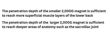 Equine balance magnetic therapy leg bands for horses