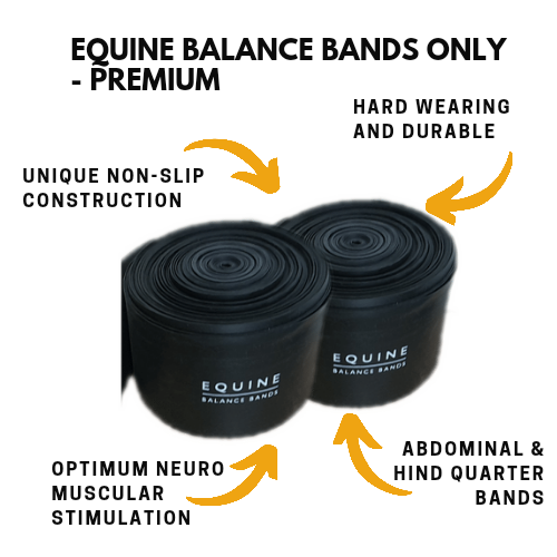 Replacement Bands for Equine Balance Bands System Equine Balance Bands