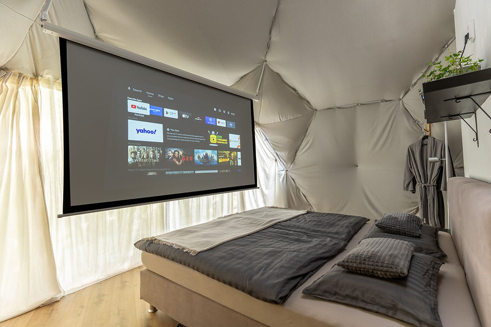 Bedroom with a cinama projector screen