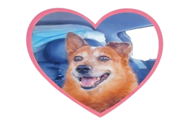 2FBA742F-857F-481E-9E81-52EEF78B07FC-Photoroom.png