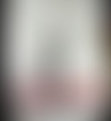 In Baltimore, Two Shoe Stores Once Ruled the Streets