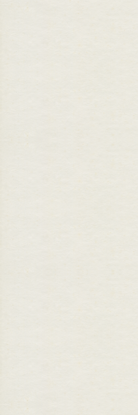 whitebackgroundTALL.png