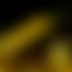 Top Reasons to Invest in Precious Metals: Historical Value, Inflation Hedge, and Portfolio Diversification