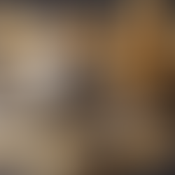 Top Online Resources for Precious Metals Investors: Your Ultimate Guide