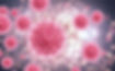 Virus del papiloma humano (VPH)