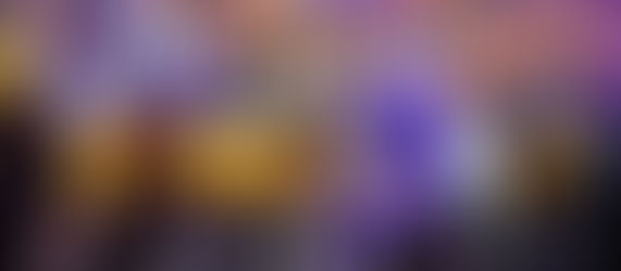 Tigers End Final Home Game on Top with 13–10 Win Over WKU