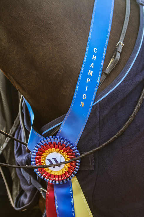 E4790712-4C60-4848-B77D-D8CD4EBEF80A.jpe