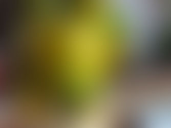 これは野菜？花？