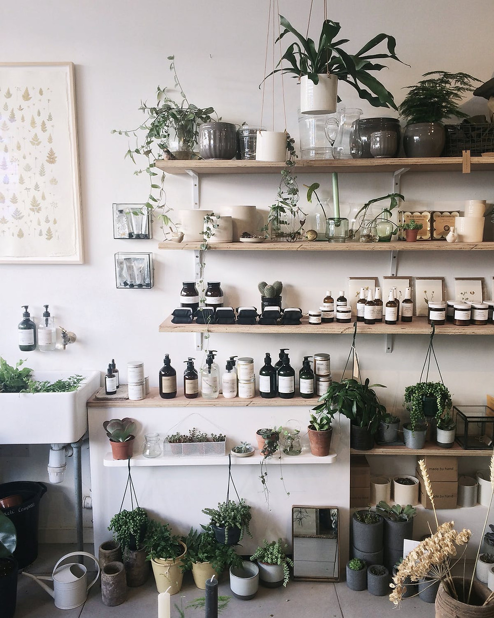 Biophilia love for the natural environment