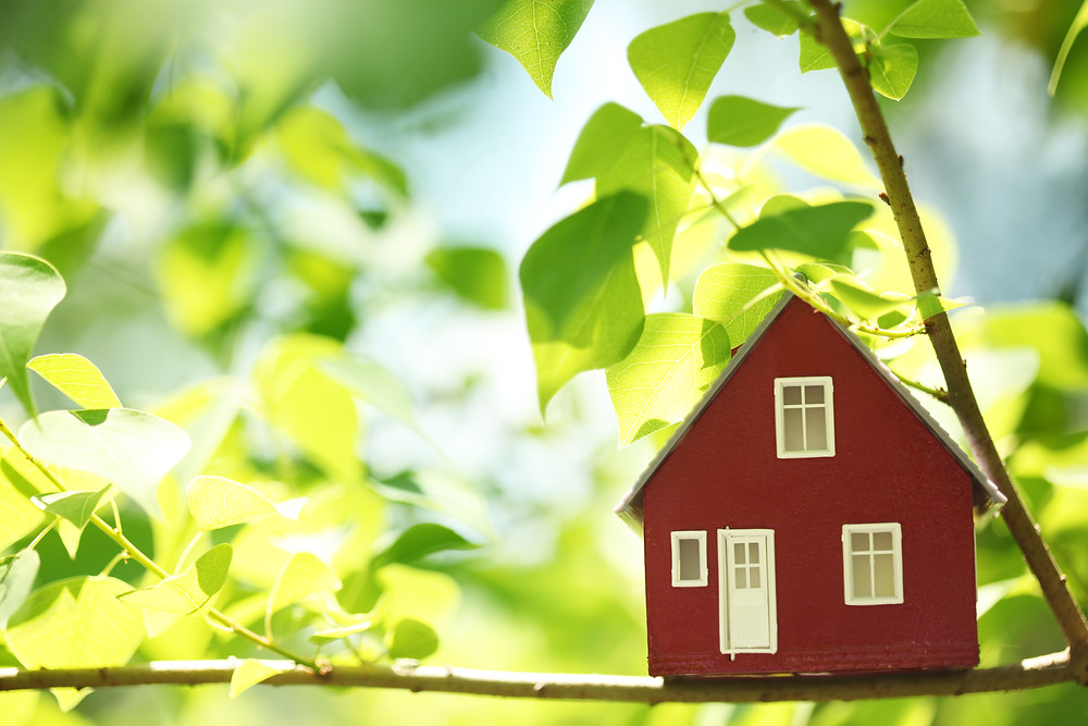 home buying green star