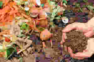composting bokashi bins
