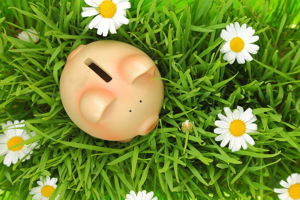 sustainability myth