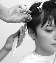 ステップボーンカット