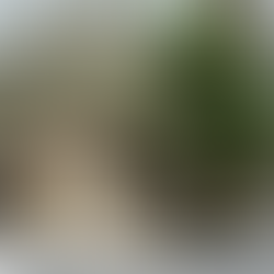 バーニーズニューヨーク銀座で販売開始!