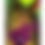 Thumbnail: Rag Doll