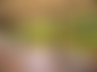 Escápate a nuestras cabañas: el lugar perfecto para celebrar, descansar y compartir en familia