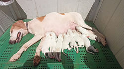 296481110_5635550416468842_6710834493325983252_n