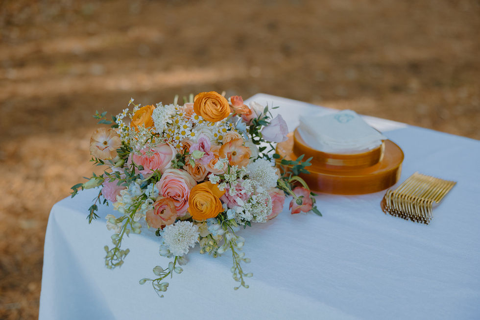 Cathedral_Point_Elopement_Madison_Dahlquist-124_websize