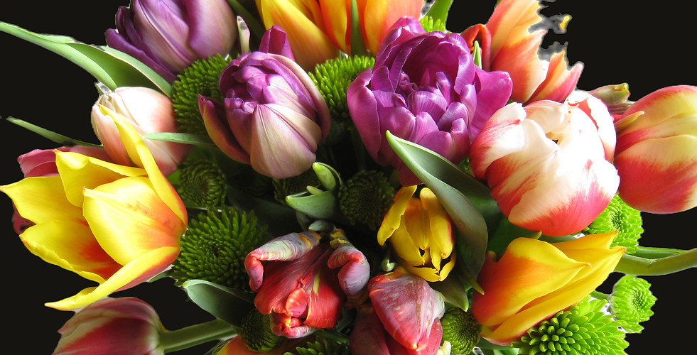 Colorful Tulip Bouquet_edited.jpg