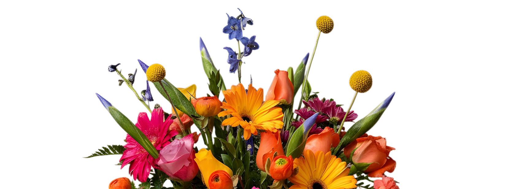 edited_hd_1778445337456 (1)_edited.png