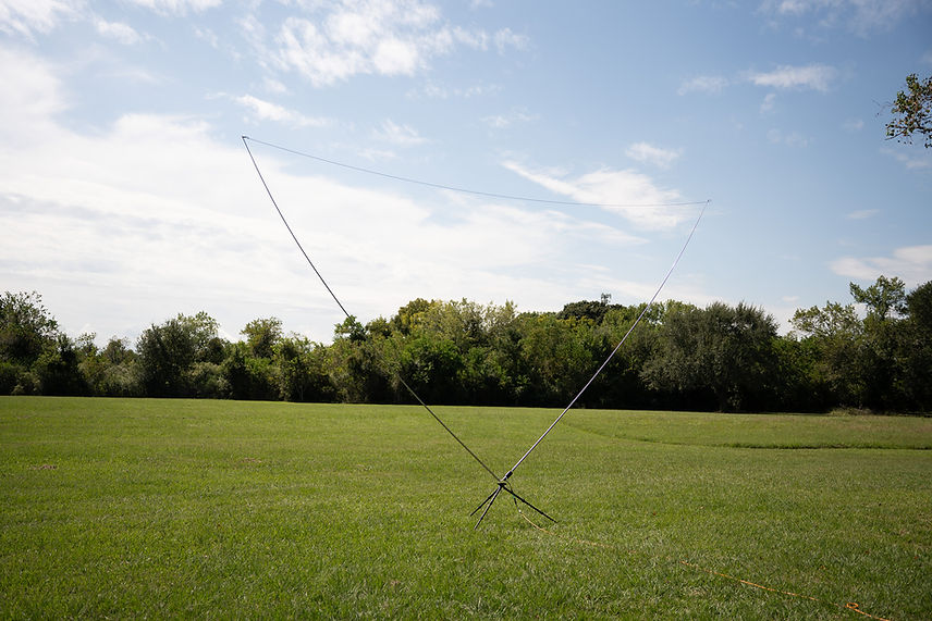 XFORM Delta Loop Deployed.jpg