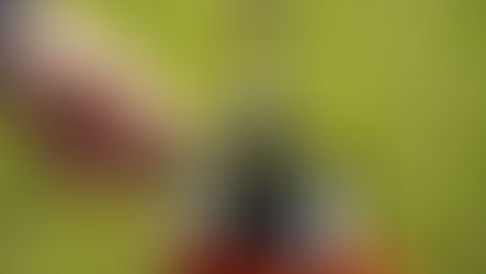 behind the design: the scout