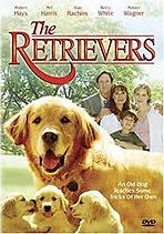 retrievers rev poster pic.jfif