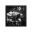 Thumbnail: Framed poster - Black and White Flower