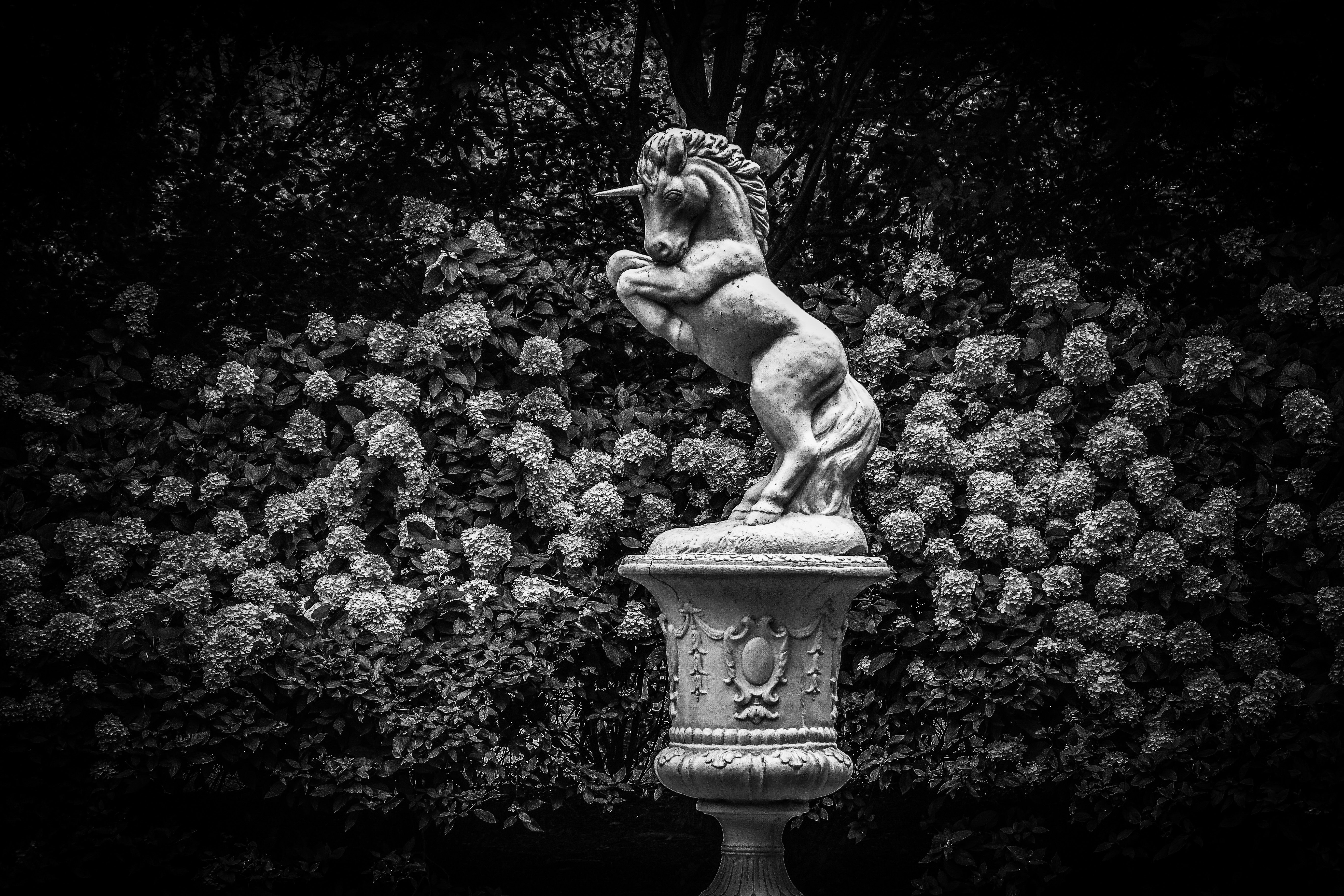 Statue at Wickham Park