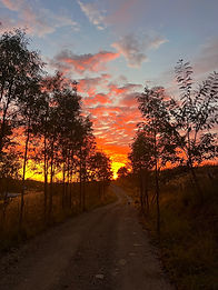 Photo 9-7-2025, 6 26 22 am.jpg