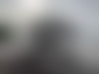 Lone live oak tree at the water’s edge in the Florida Keys, backlit by morning light with fog softening the horizon between sea and sky.