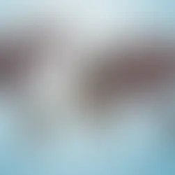 Global Population Officially 8 Billion