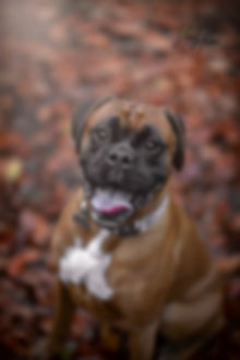 DSC08812-Edit.jpeg